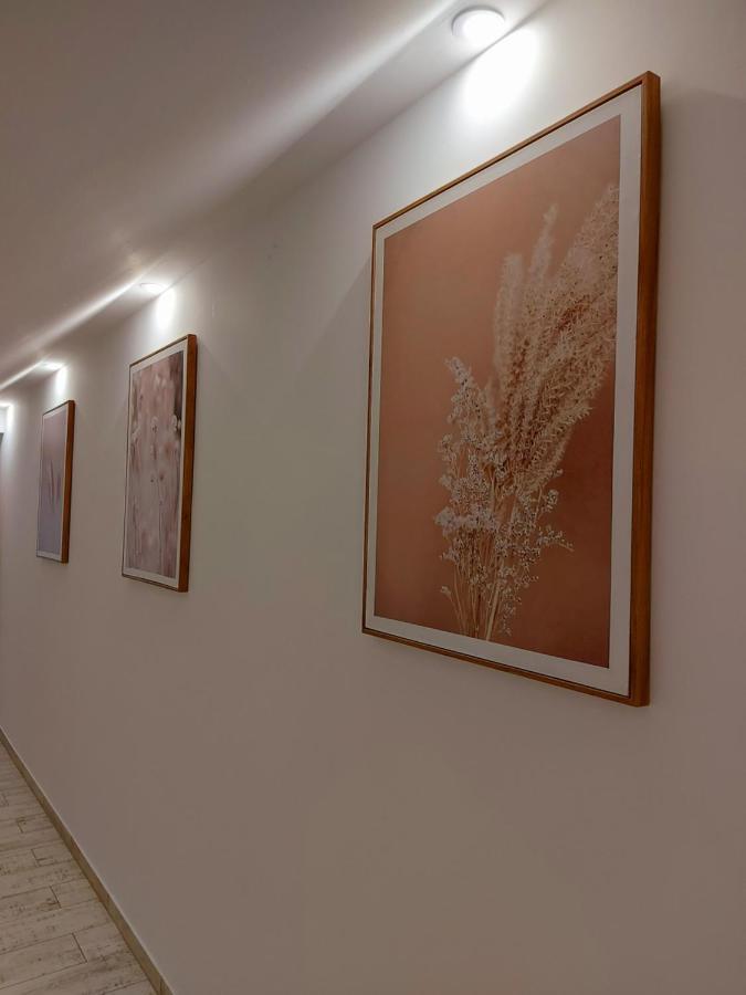Akacos Tanya Es Vendeghaz Hotel Marok Eksteriør billede